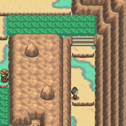 ポケットモンスター ハートゴールド•ソウルシルバー ポケットモンスター ハートゴールド・ソウルシルバー: 任天堂